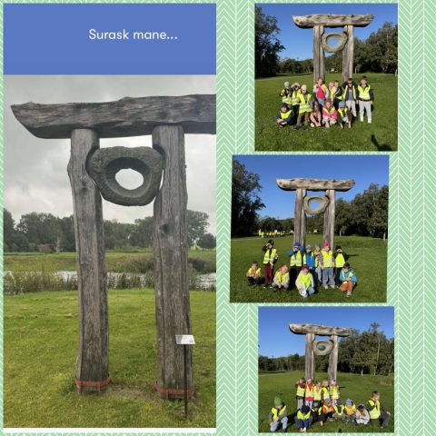 collage_export_144D5F82-618F-434D-964B-5BB8583E7839