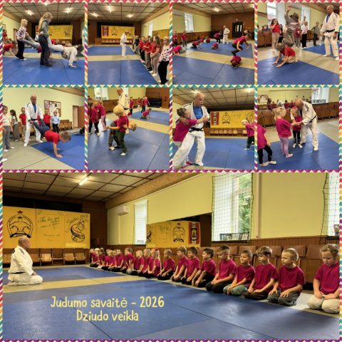 collage_export_59703F90-2078-4901-92CD-C5FCD5D5D5BA