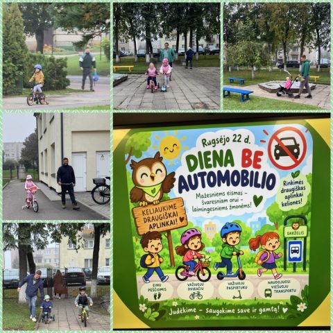 collage_export_E53046CD-D298-4E9F-A8ED-05924EC8F482