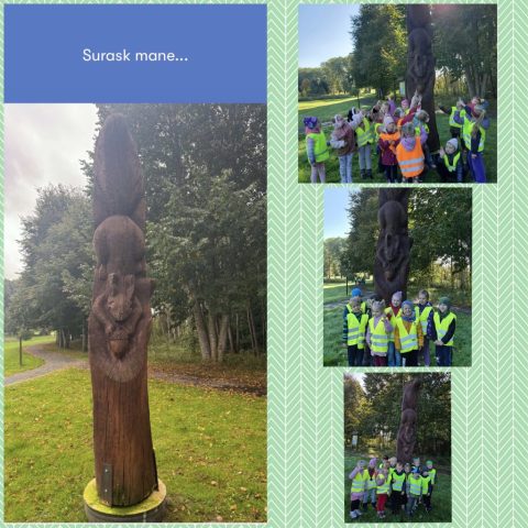 collage_export_F386EB64-192D-4AE5-9BA3-3A447989656D